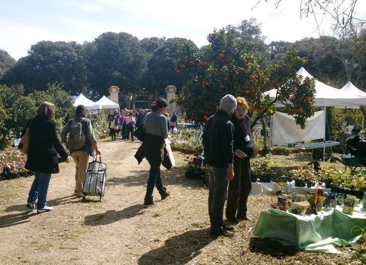 Piante in festa con “Primavera in giardino” 