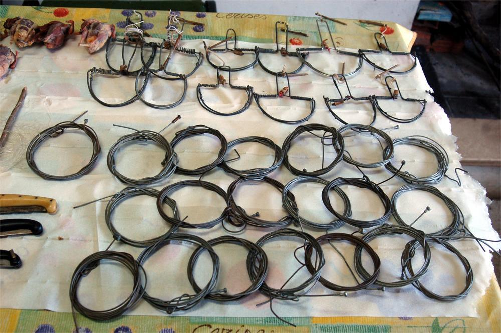 Villaputzu, bracconiere sorpreso mentre piazza trappole per cinghiale