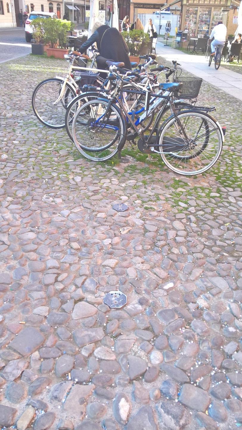 «Il Comune non neghi: spariti 69 portabici» 