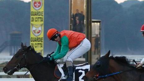 Un mese al galoppo: oggi a San Rossore due handicap di lusso