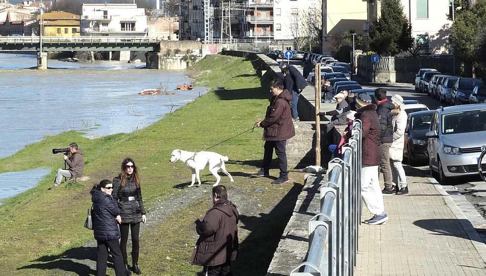 Il delfino scompare e riappare 