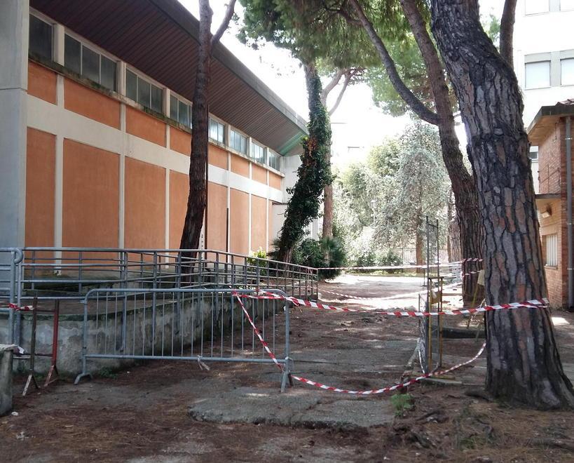 Tanti studenti e poche aule «Ecco che cosa chiediamo» 