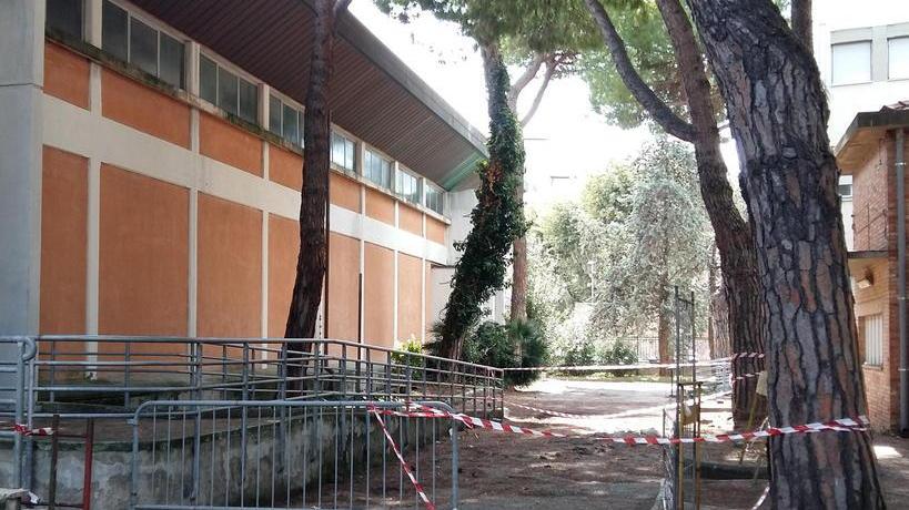 Tanti studenti e poche aule «Ecco che cosa chiediamo»