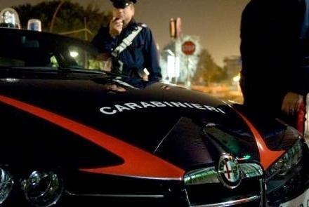 Salma trafugata a Loiri, è caccia aperta ai “rapitori” 