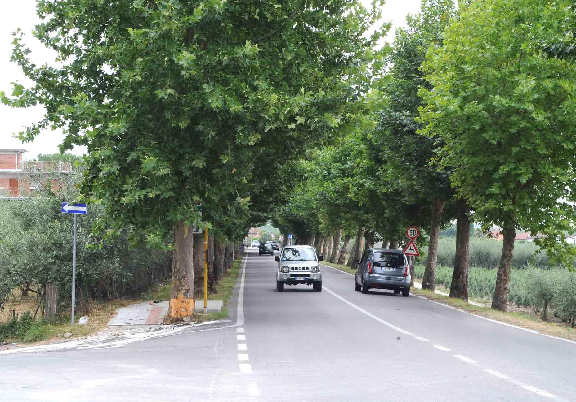 Un tratto di via Montalese (foto Gori)