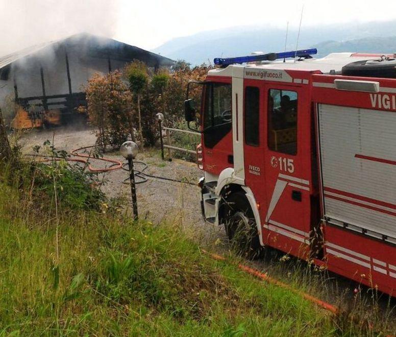 Incendi a Margine di Momigno, due ettari di sottobosco in fiamme 