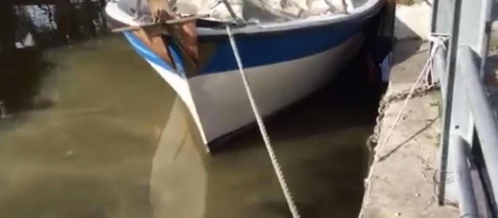 Liquami sversati nel Burlamacca 