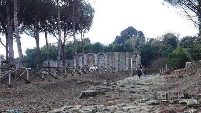 Tra gli squali a rischio estinzione e Populonia