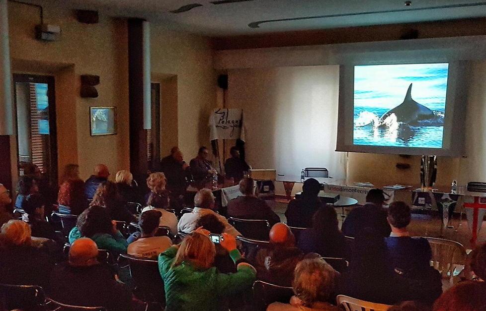 Cultura, vele, gusto: pacchetto vincente 