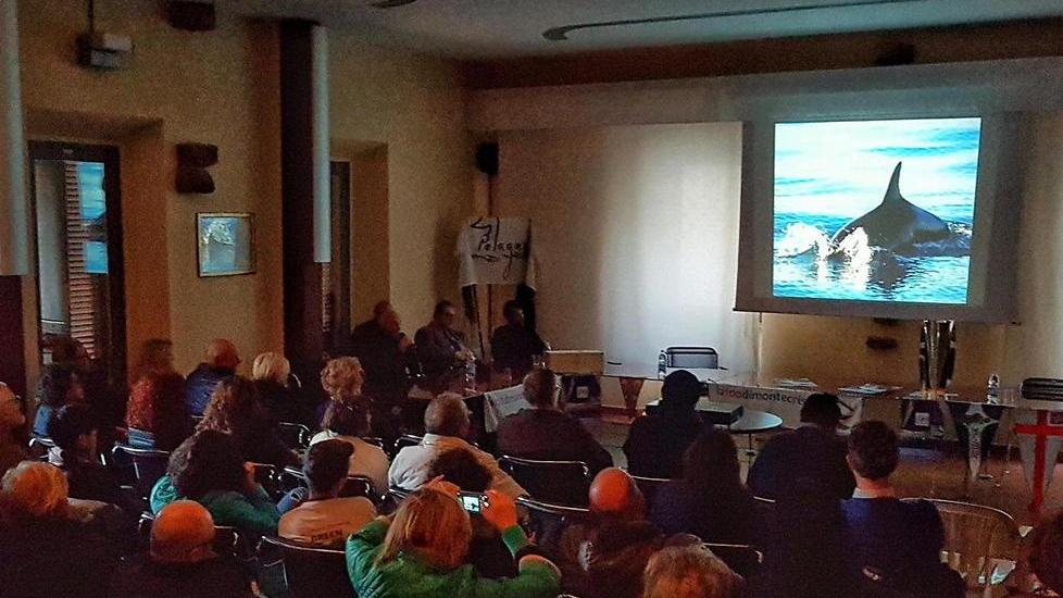 Cultura, vele, gusto: pacchetto vincente