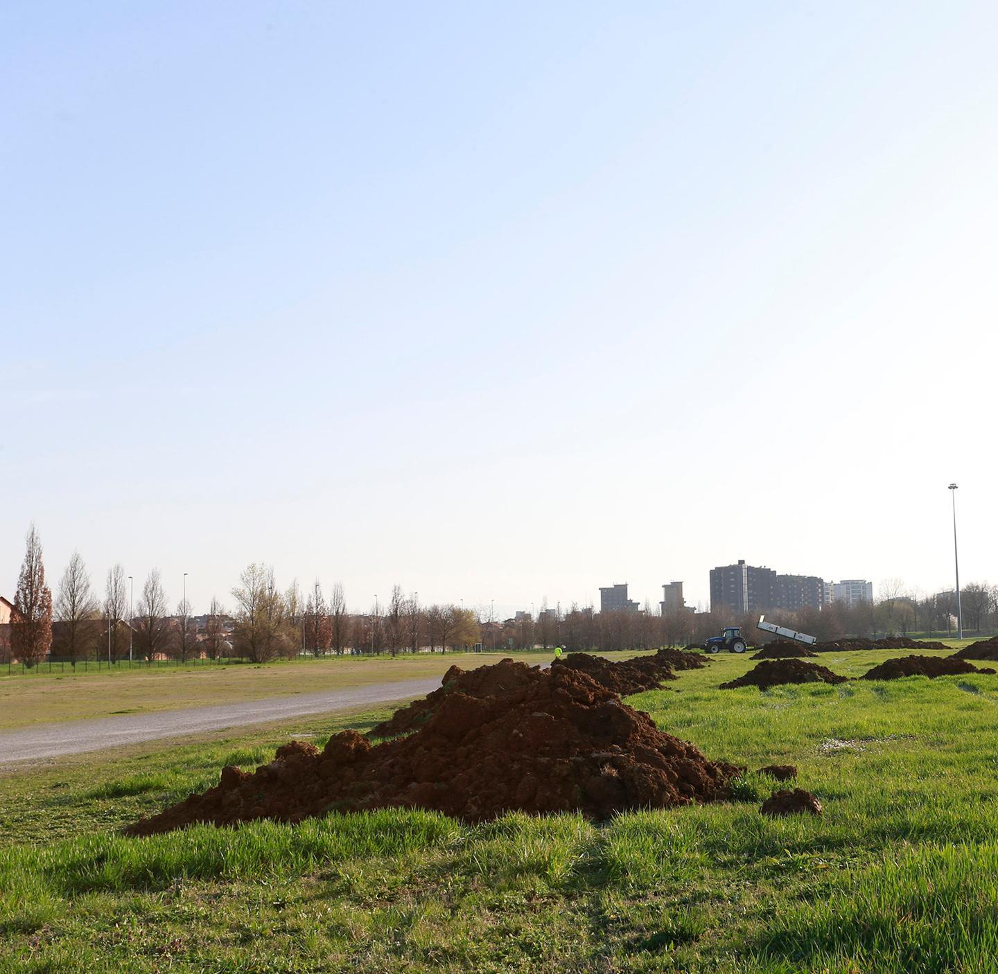 Parco Ferrari, il Comune: "Le piante ripiantumate dopo il concerto di Vasco"