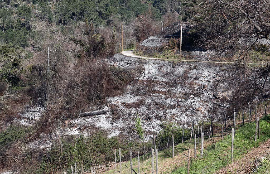 Incendi spenti in provincia, bruciati oltre 40 ettari