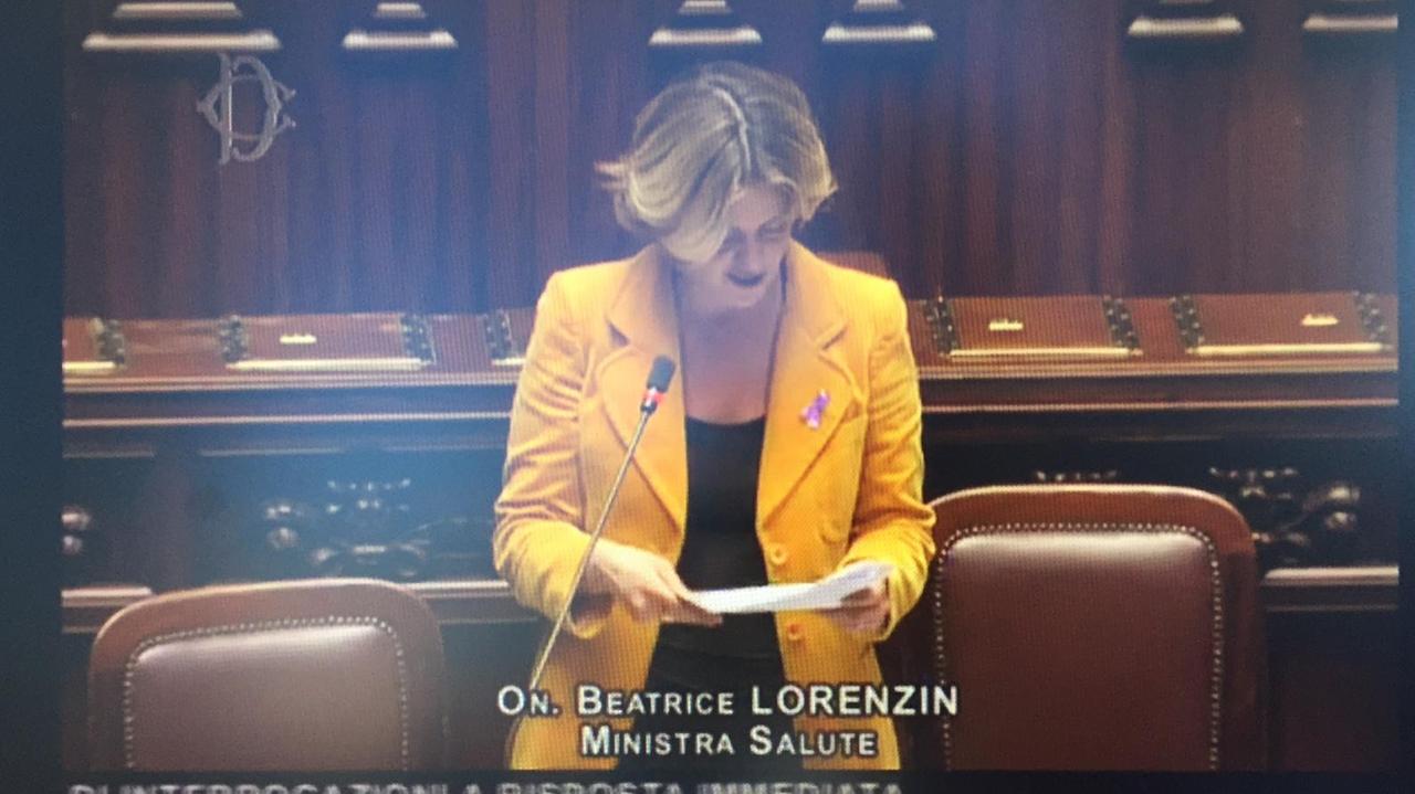 Il ministro Beatrice Lorenzin durante il question time
