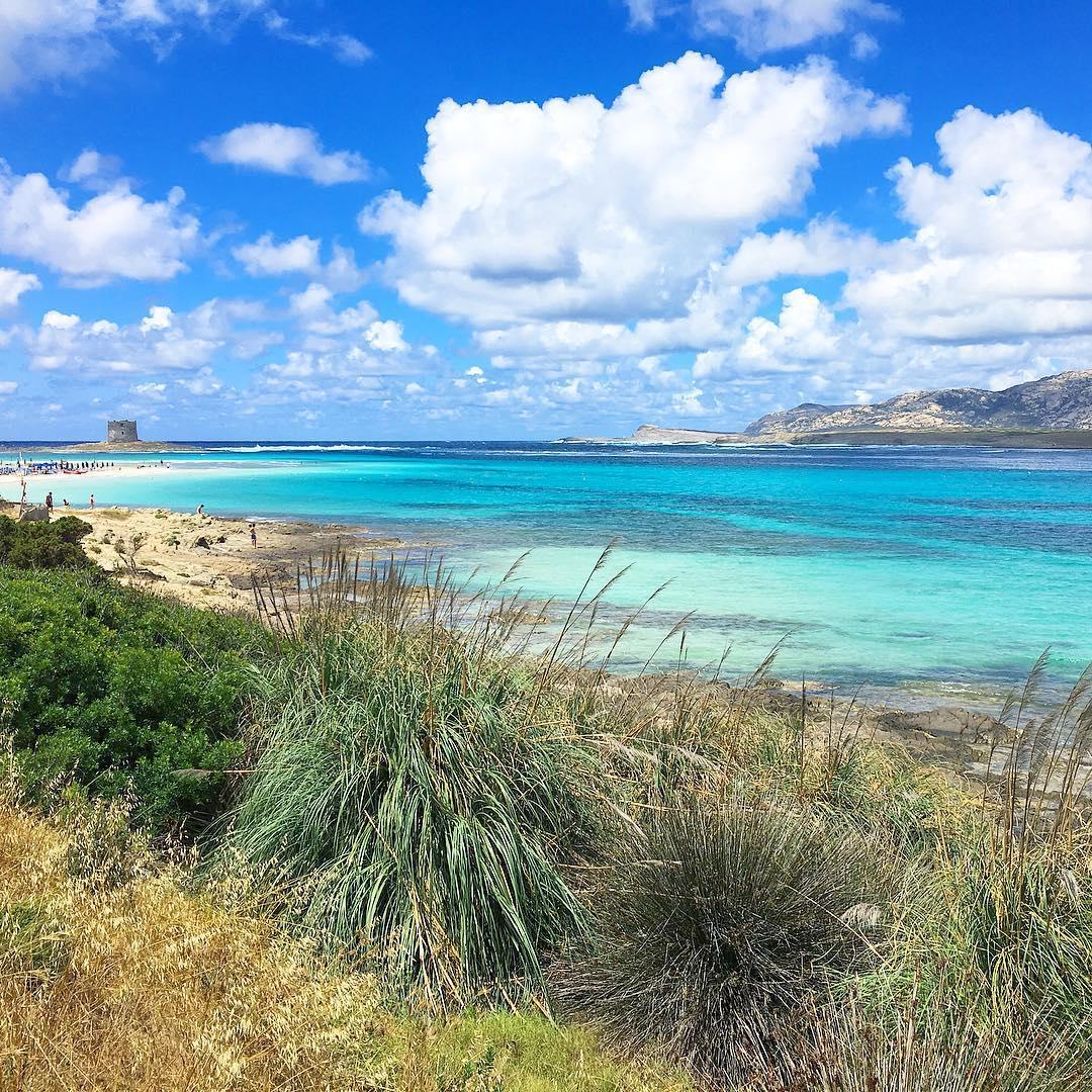 La Pelosa, Stintino (foto Instagram @giusicasada)