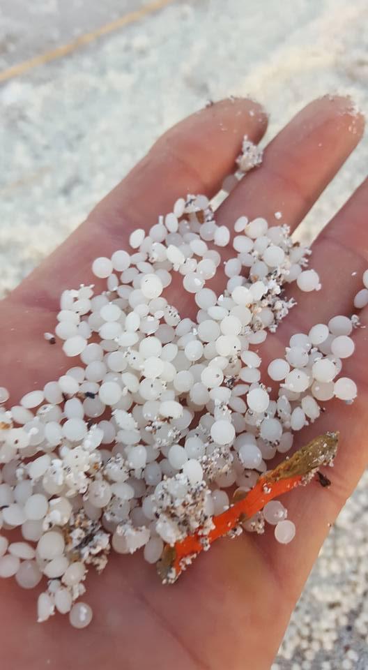 I granuli di polietilene trovati alle Spiagge Bianche