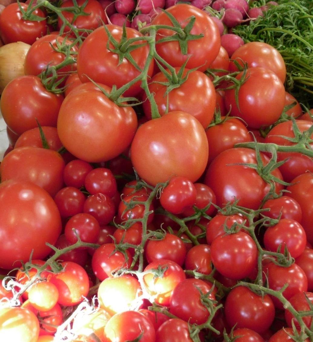 Caselli: «Per Ferrara Food stiamo cercando soluzioni»