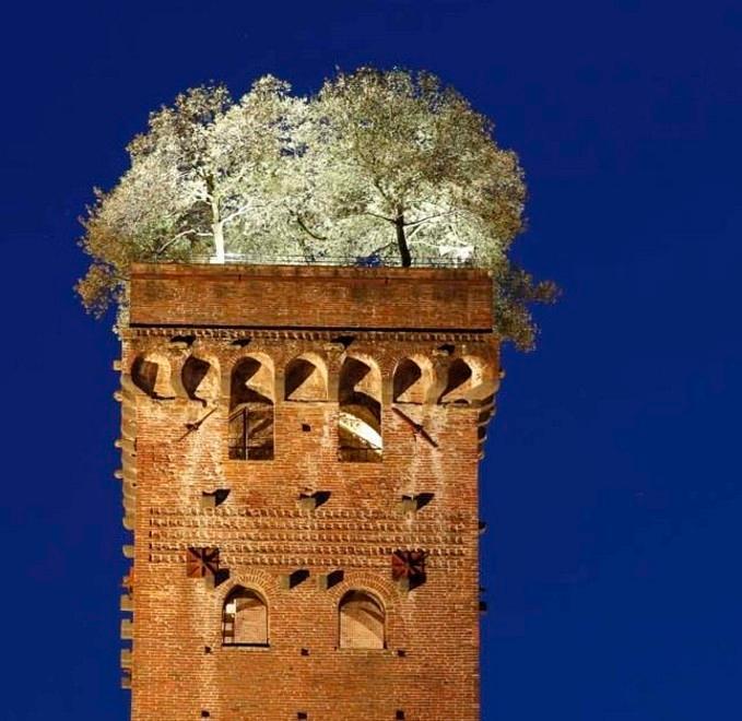 Appalto in scadenza All’esame le domande del nuovo bando