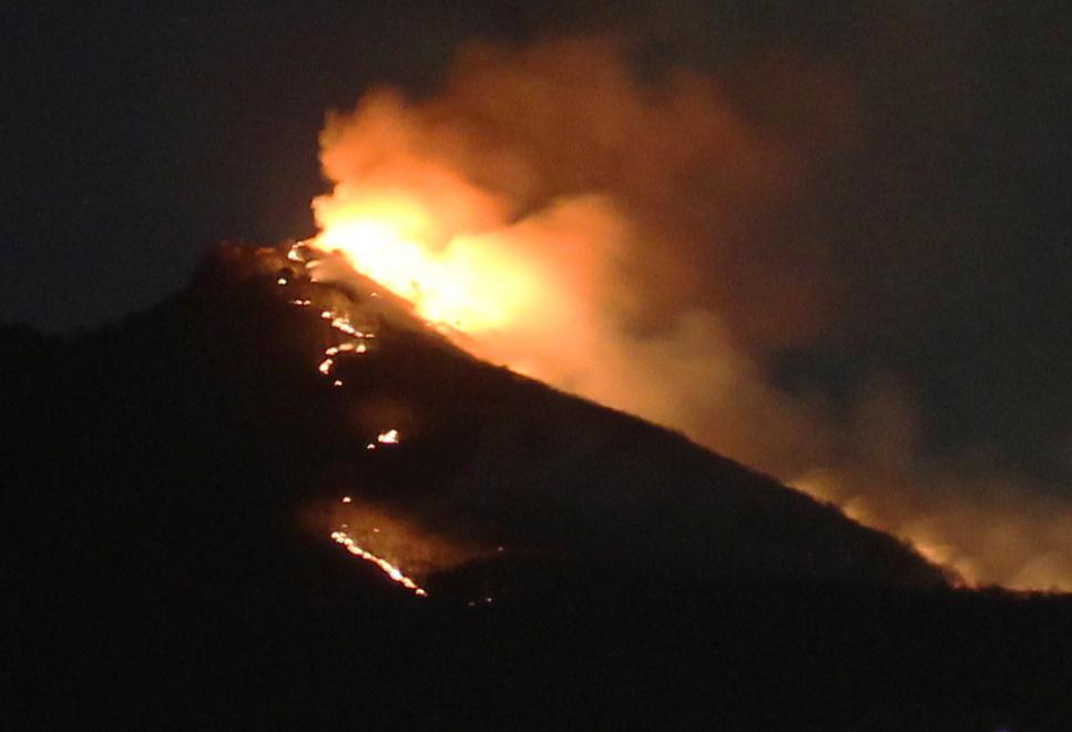 «Abbiamo visto il bosco distrutto dalle fiamme» 