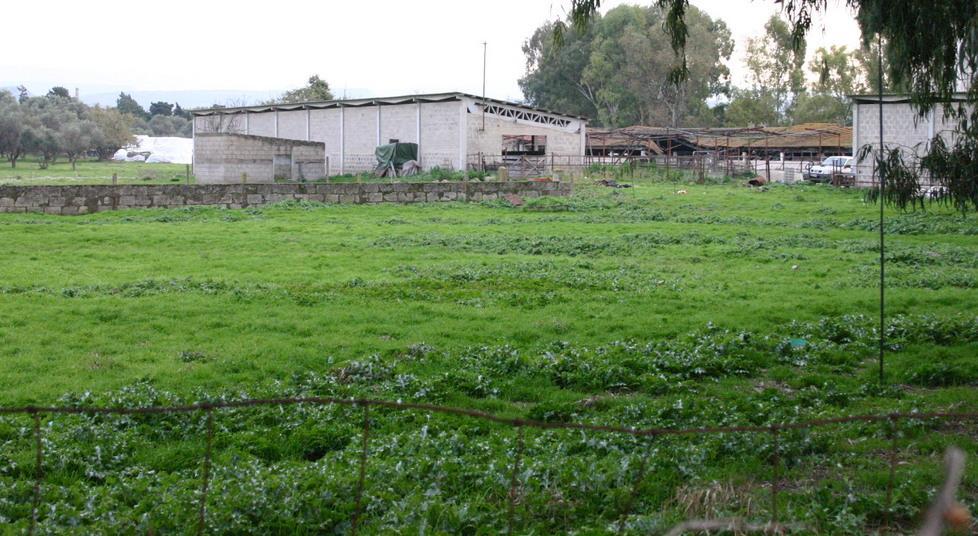 «Alcune aree di Mamuntanas siano assegnate ai giovani»