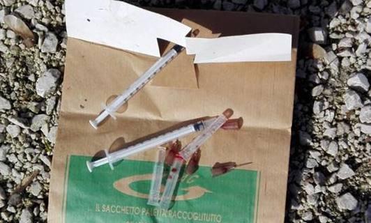 Reggiolo, controlli antisiringhe nel parco