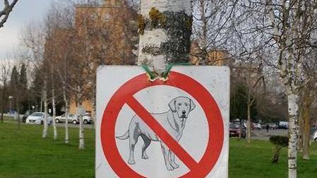 Divieto per i cani affisso nel parco del circolo ricreativo
