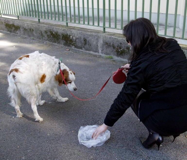Pulire dove sporcano i cani 3.000 lettere ai proprietari 
