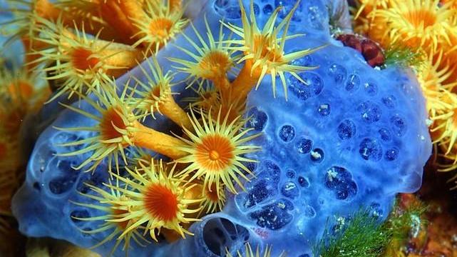Pericolo in collina per le funi d’acciaio lungo i sentieri