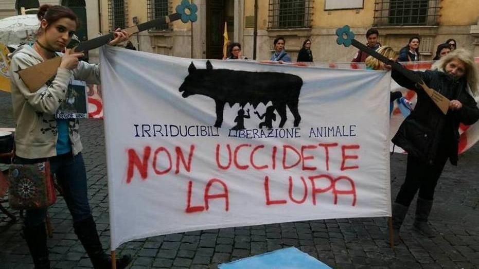 Piano lupo, la Toscana unica favorevole