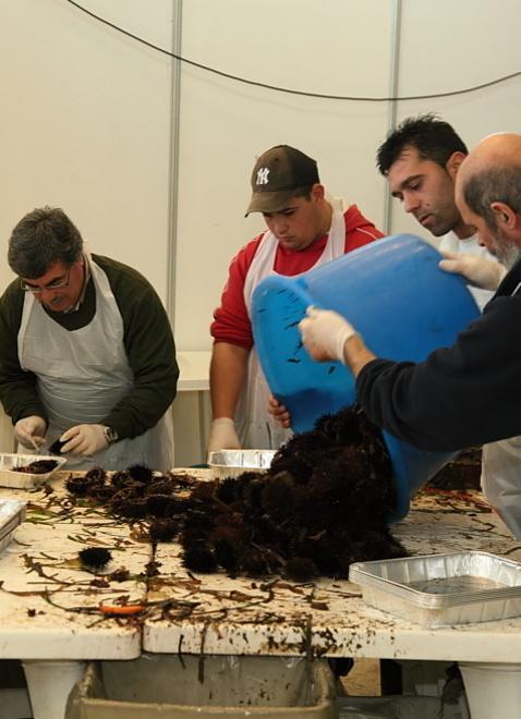 «Non solo bogamarì mettiamo in vetrina le altre eccellenze» 