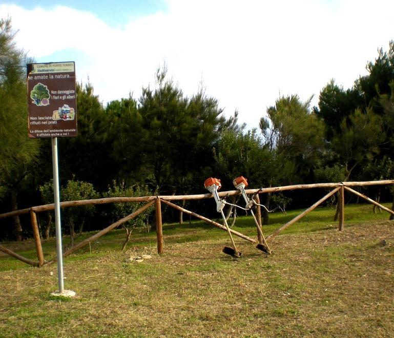 Progetti bloccati in giunta la forestazione non parte 