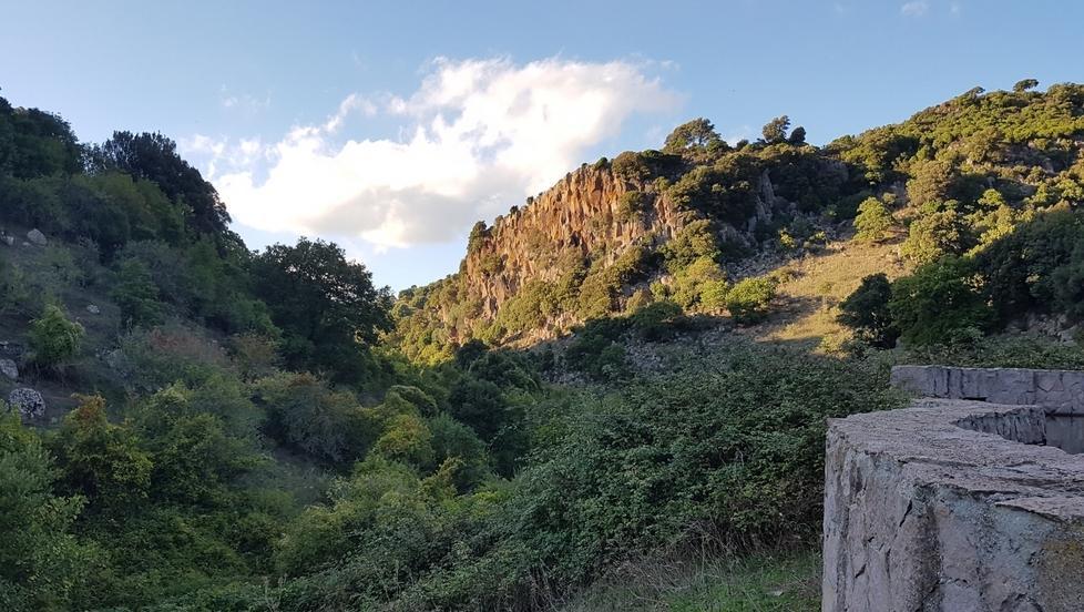 Bando del Comune di Bonorva per le terre della tenuta Mariani 