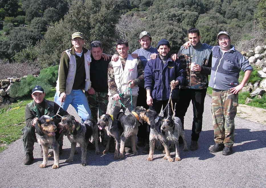 Sfida tra segugi per scoprire il miglior cane da caccia