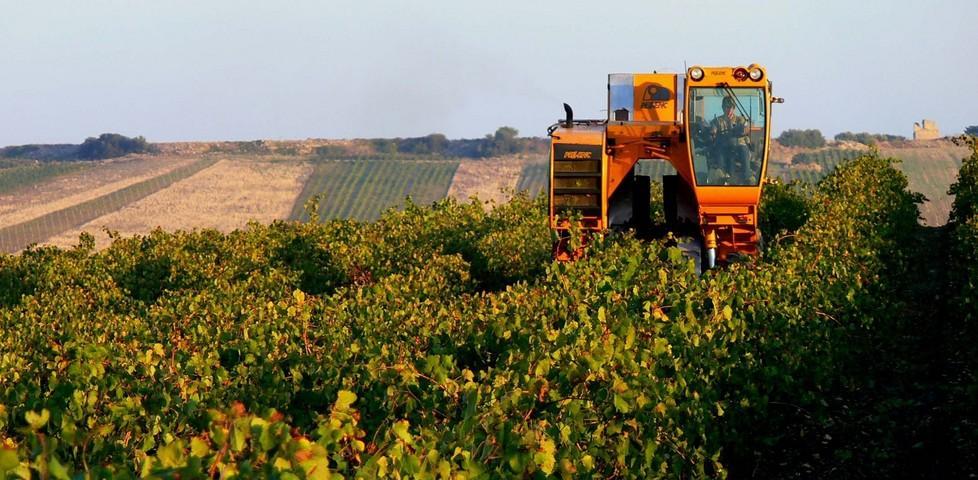 Finanziamenti illeciti all’agricoltura chieste le condanne 