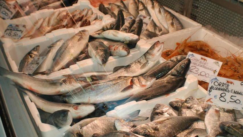 Pesce conservato male, sanzioni a Orosei e Nuoro 