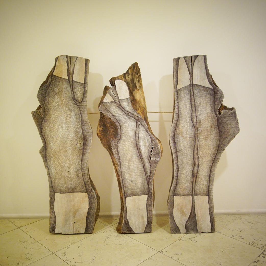 Quando arte e ambiente si intrecciano educando 