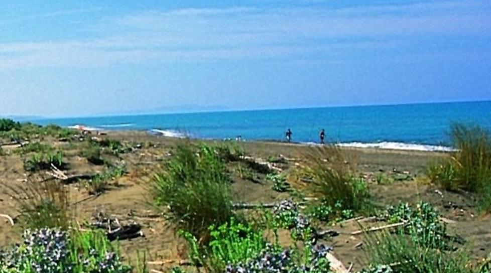 «La giunta di Bibbona ne esce con le ossa rotte»