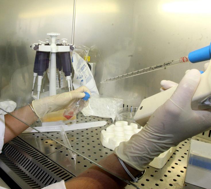 Cellule staminali e ricerca, 500 studenti in prima linea 