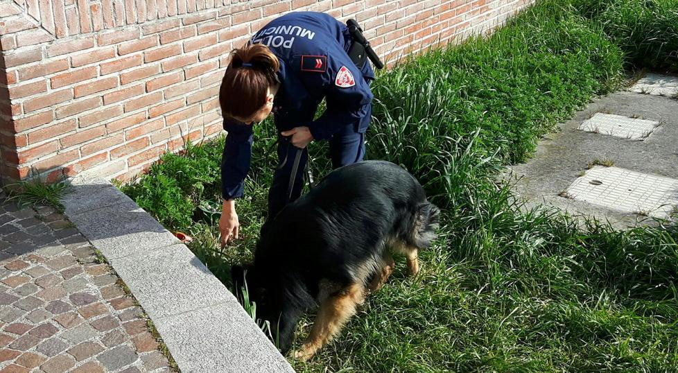Bilancino per la droga trovato al Marconi