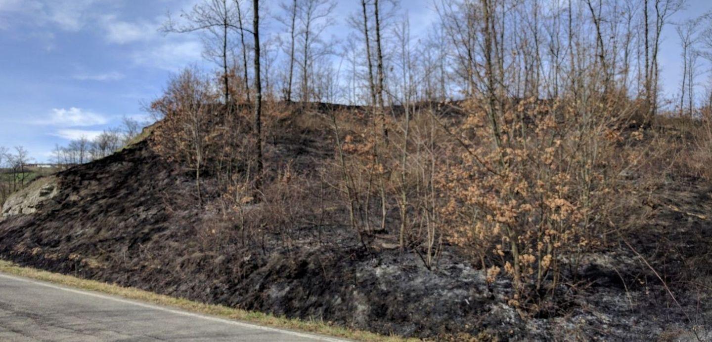 Boschi in fiamme, arrestato il piromane 