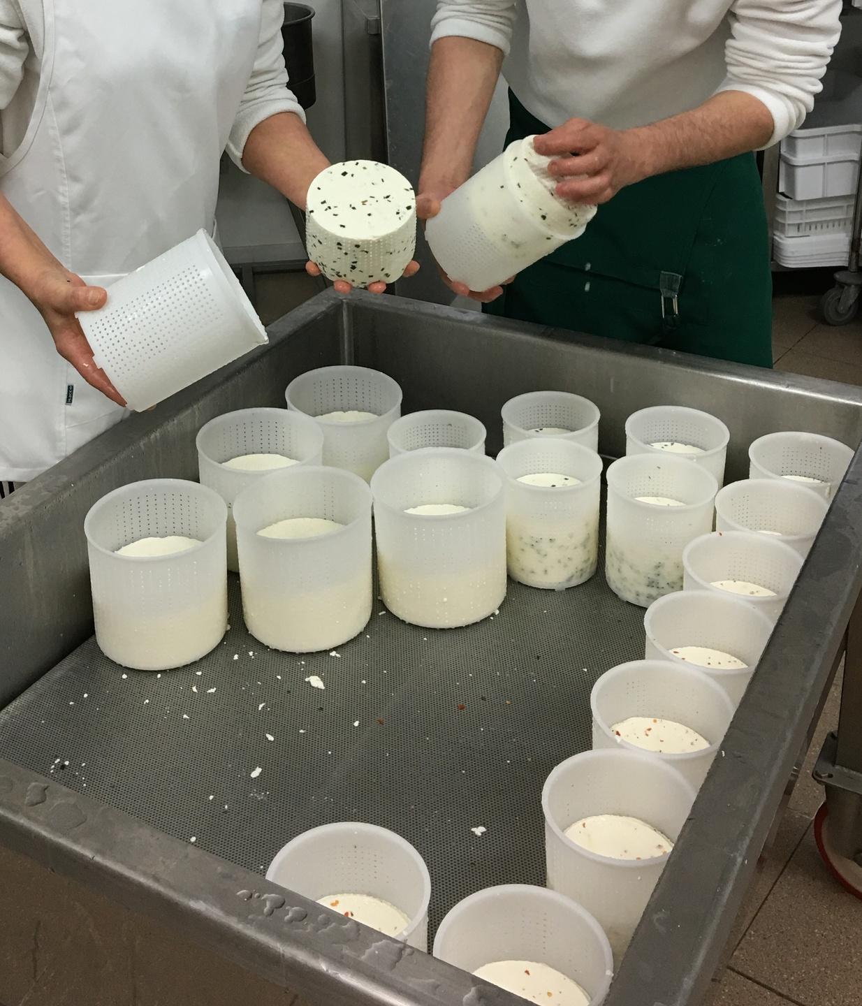 Etichette per formaggi e latte 