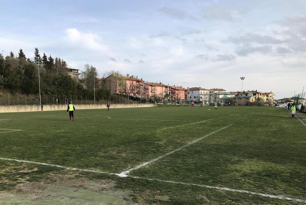 Campo sportivo invaso dai cinghiali, a rischio il manto