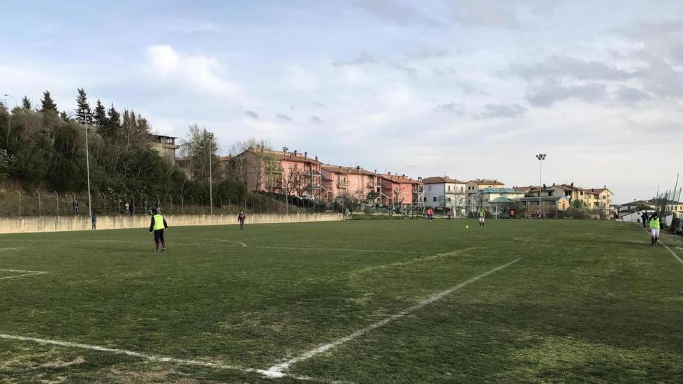 Campo sportivo invaso dai cinghiali, a rischio il manto