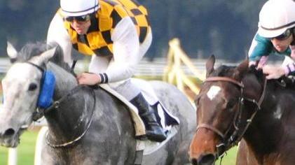 A San Rossore riflettori sul Palio dei Comuni