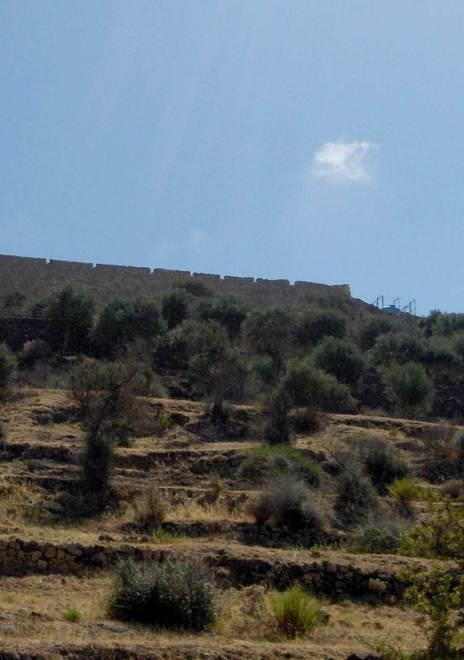 Bosa “Città dell’olio”, adesione e rilancio del settore agricolo 