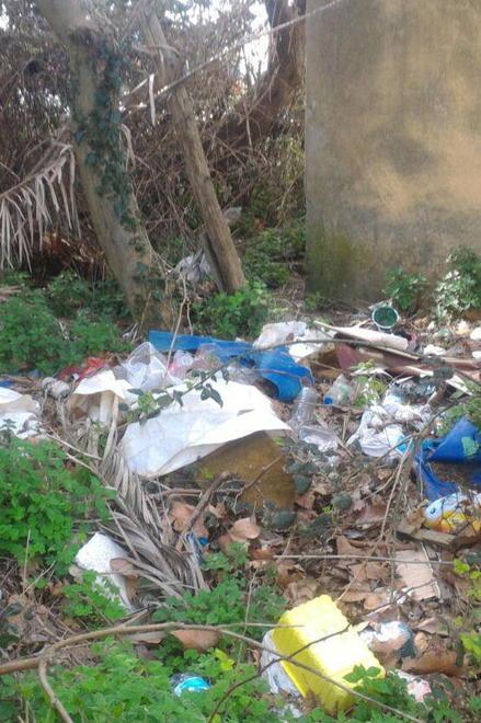 Due tonnellate in meno di rifiuti a Calambrone 