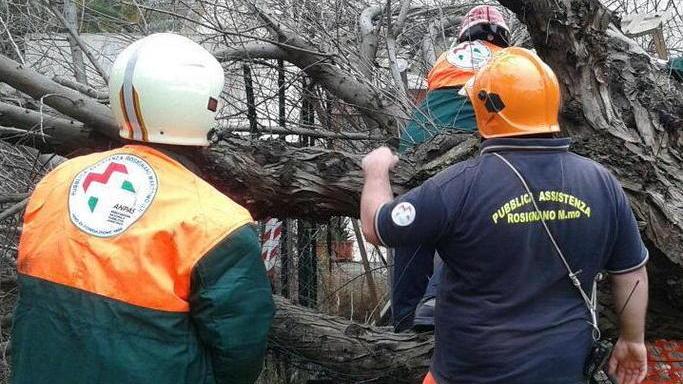 Ok al progetto da 3 milioni per la ex Guerrazzi