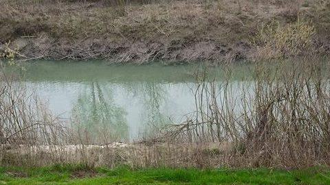 Tre operai in nero, chiuso e multato un laboratorio tessile