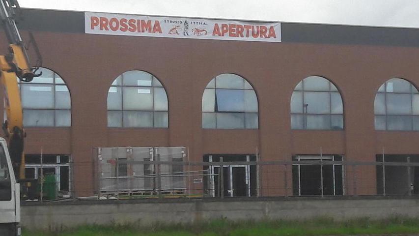 Etrusco Ittica punta in alto
