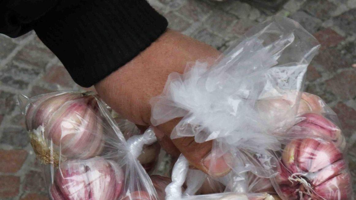 I pakistani venditori d’aglio «che prendiamo dalla Sicilia»