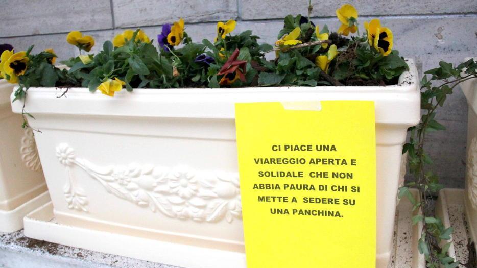Via le panchine del Municipio